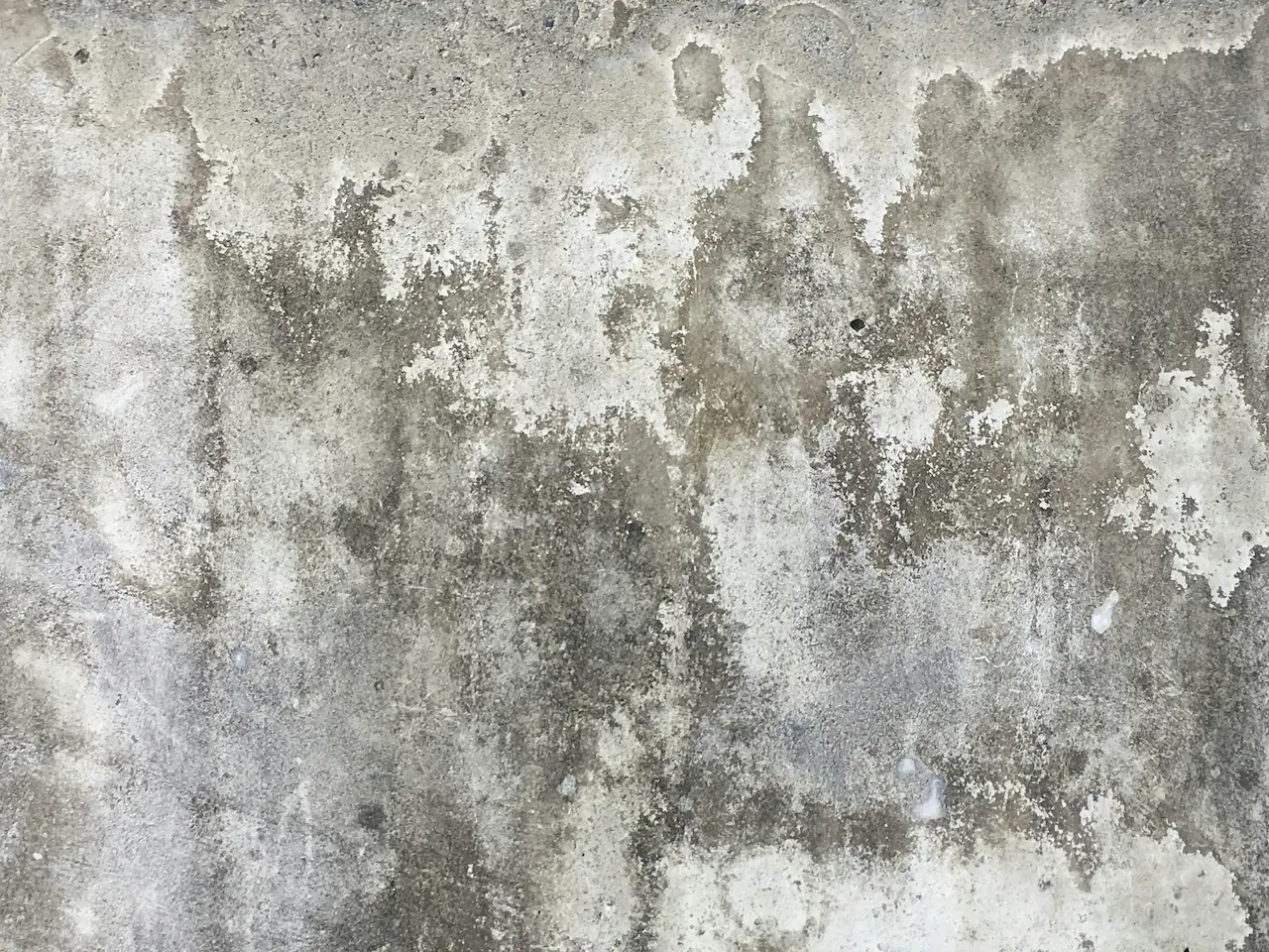 Feuchte Mauer mit sichtbaren Schäden und Schimmelgefahr