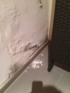 Mauerentfeuchtung feuchte Mauern Schimmelpilz