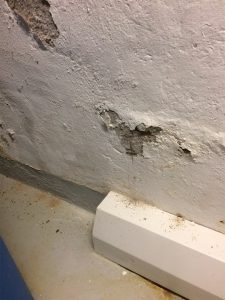 Mauerentfeuchtung feuchte Mauern Schimmelpilz