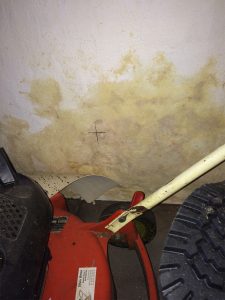 Mauerentfeuchtung feuchte Mauern Schimmelpilz