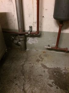 Mauerentfeuchtung feuchte Mauern Schimmelpilz