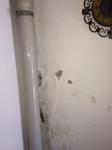 Mauerentfeuchtung feuchte Mauern