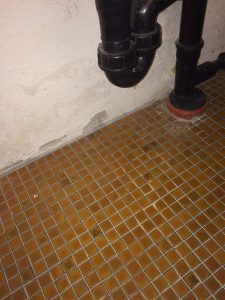 Mauerentfeuchtung feuchte Mauern Schimmelpilz