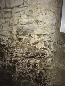 Mauerentfeuchtung feuchte Mauern Schimmelpilz