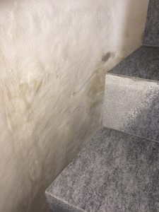 Mauerentfeuchtung feuchte Mauern Schimmelpilz