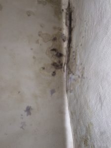 Mauerentfeuchtung feuchte Mauern Schimmelpilz