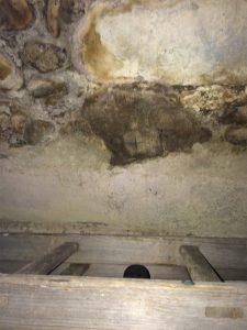 Mauerentfeuchtung feuchte Mauern Schimmelpilz